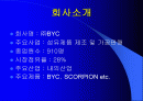 BYC와 쌍방울 재무분석 2페이지