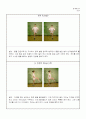 에어로빅 기본 Step 5페이지