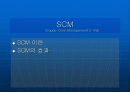 소니와 삼성의 scm 1페이지