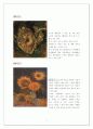 회화속의 색 분석 4페이지