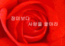 장미보다 사랑을 팔아라를 읽고.. 1페이지
