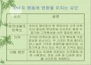 금융관련 자격증의 전문성	 10페이지