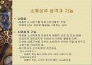 한국소매상의 현황과 향후 발전방향 3페이지