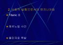 전문가로서의 엔지니어 3페이지