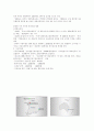 현대자동차의 경영전략 19페이지