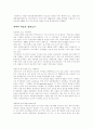  청계천 복원에 대한 나의 생각 2페이지