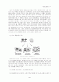 clay/polyimide 나노복합재료의 합성 4페이지
