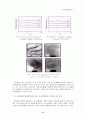 clay/polyimide 나노복합재료의 합성 9페이지