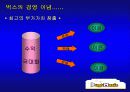 벅스뮤직분석 12페이지