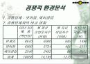 한게임분석 20페이지