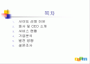 다움 사이트 분석 2페이지
