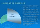 네이버 웹사이트분석 19페이지