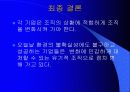 조직설계현장연구 14페이지