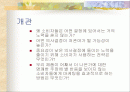 저관여하의 판단과 의사결정 2페이지
