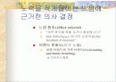 저관여하의 판단과 의사결정 9페이지