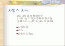 저관여하의 판단과 의사결정 22페이지