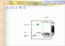 저관여하의 판단과 의사결정 23페이지