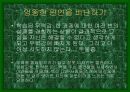 디자인과 인간심리 12페이지