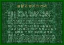 디자인과 인간심리 16페이지