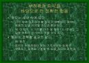 디자인과 인간심리 23페이지