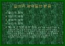 디자인과 인간심리 27페이지