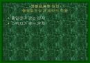 디자인과 인간심리 28페이지