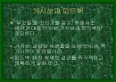 디자인과 인간심리 29페이지