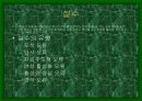 디자인과 인간심리 32페이지