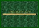 디자인과 인간심리 36페이지