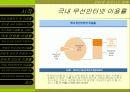 인터넷 이용자 현황 조사 10페이지