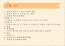 사이버 섹스 중독 - 설문조사, 1:1 상담, 프리젠 테이션 2페이지
