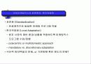 국제마케팅믹스 전략 7페이지