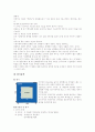 태권도의 역사와 정신 경기규칙 9페이지