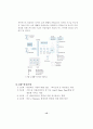 Synergy 극대화를 위한 EIP도입 전략 13페이지