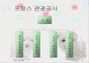 프랑스관광정책 5페이지