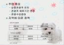 프랑스관광정책 7페이지