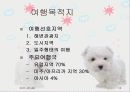 프랑스관광정책 15페이지