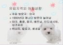 프랑스관광정책 16페이지