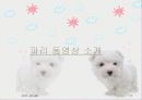 프랑스관광정책 17페이지