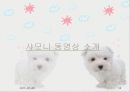 프랑스관광정책 18페이지