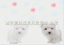 프랑스관광정책 19페이지