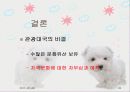 프랑스관광정책 20페이지