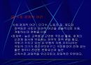 국토의 잠재력과 문제 5페이지