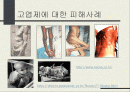 다이옥신 2페이지