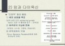 다이옥신 13페이지