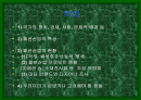 독일의 섬유 패션 산업-정치,경제, 문화 포함 2페이지