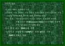 독일의 섬유 패션 산업-정치,경제, 문화 포함 4페이지
