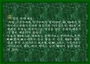 독일의 섬유 패션 산업-정치,경제, 문화 포함 9페이지
