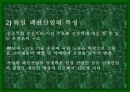 독일의 섬유 패션 산업-정치,경제, 문화 포함 10페이지