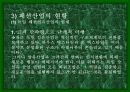 독일의 섬유 패션 산업-정치,경제, 문화 포함 11페이지